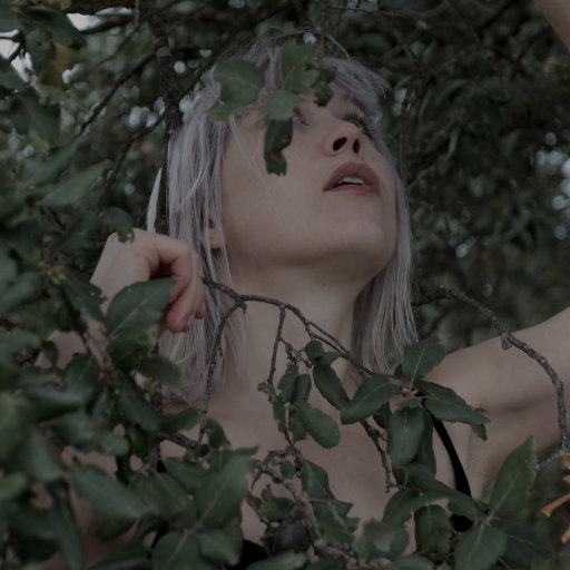 鸡巴干死小骚货视频
